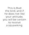 No Nonsense Art Print