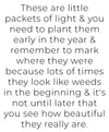 Packets of Light Art Print