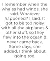 Whales Prints Art Print