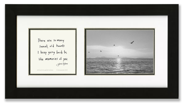 Old Haunts 4x6 Photo Frame