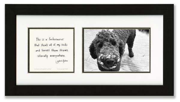 Sockasaurus 4x6 Photo Frame