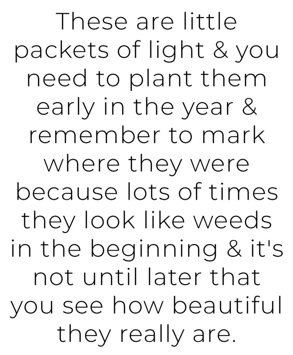 Packets of Light Art Print