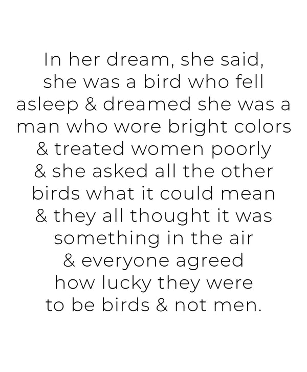 Bird Dreams Art Print