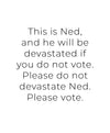 Support Ned Art Print